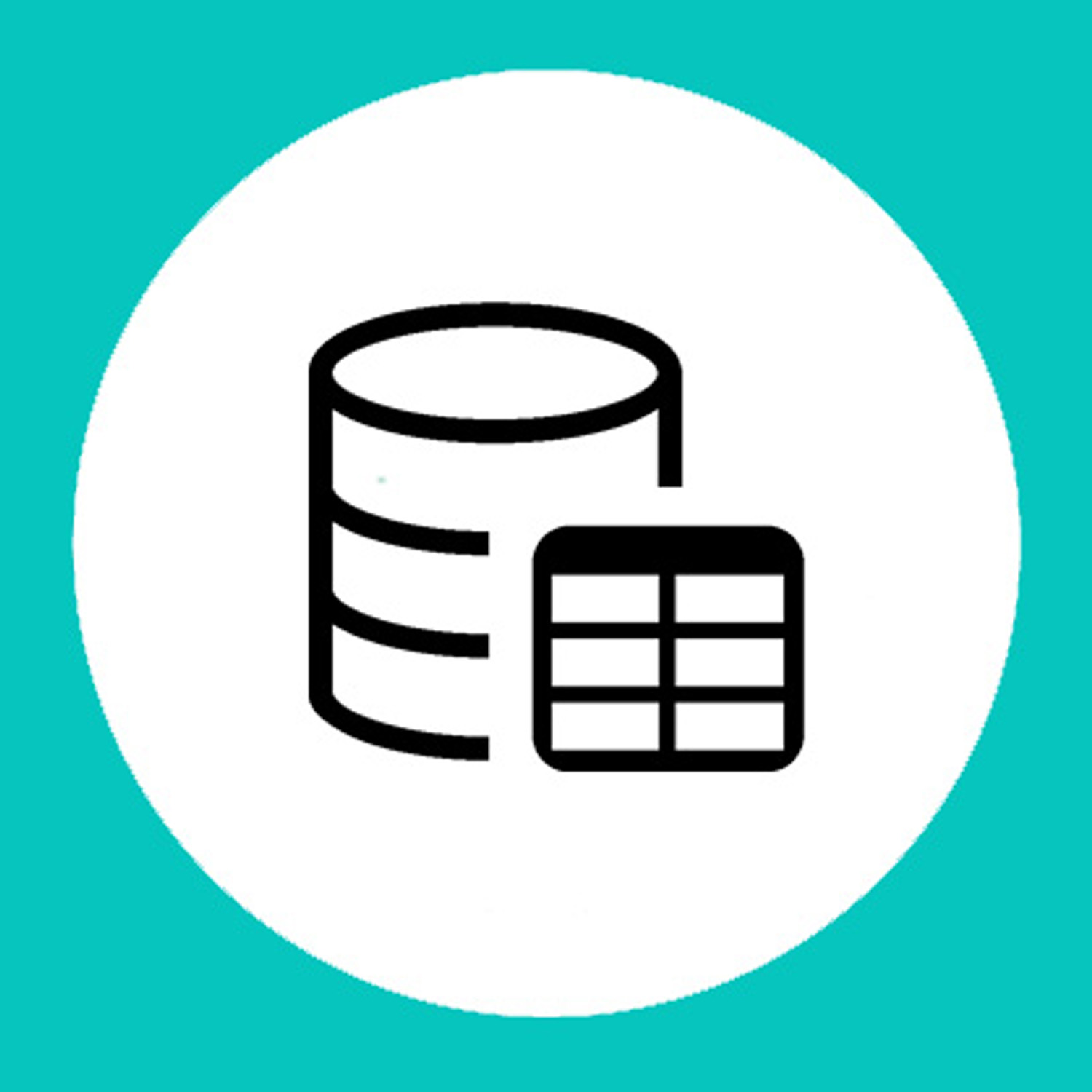 Database Course